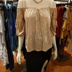 NWT Crush velvet off shoulder top